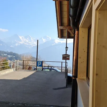 Lilo-studio By Interhome Apartamento Beatenberg