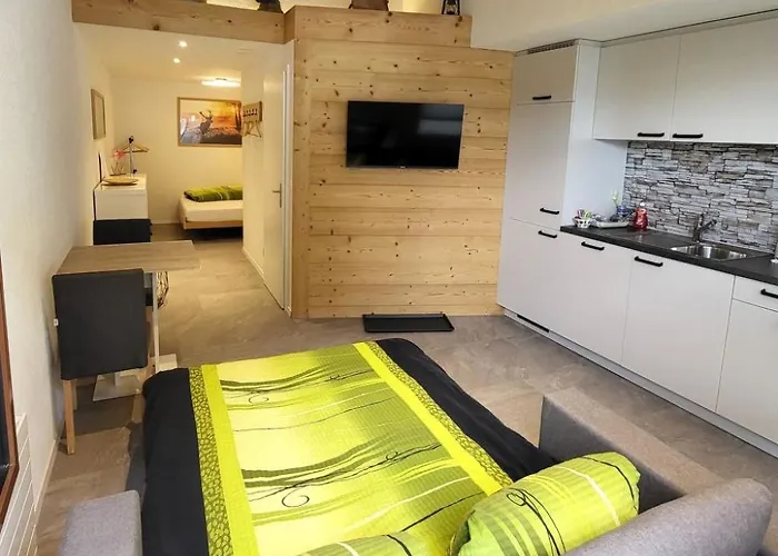 Lilo-studio By Interhome Beatenberg