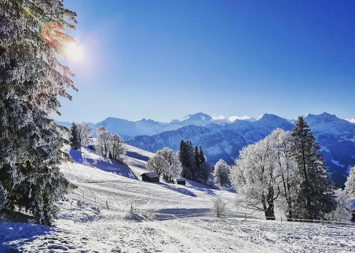 Lilo-studio By Interhome Beatenberg